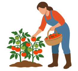 Farm Fresh Selection